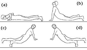 Tiryaka Bhujangasana (Twisting Cobra)