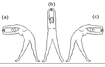 Tiryaka Tadasana (Side Bending Stretch Pose)